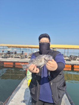 6월 28일 조황입…
