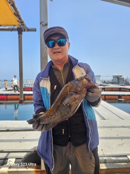 5월 29일 조황입…